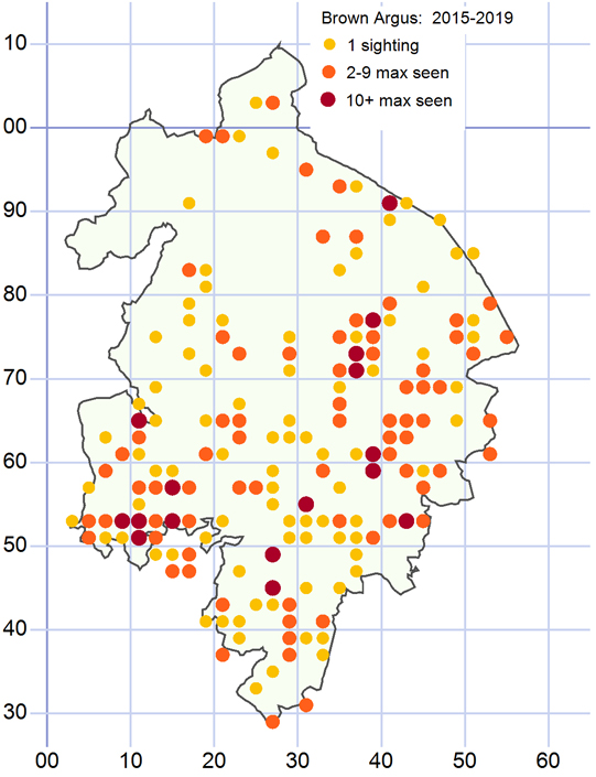 Distribution of the Brown Argus 2015-2019 inclusive